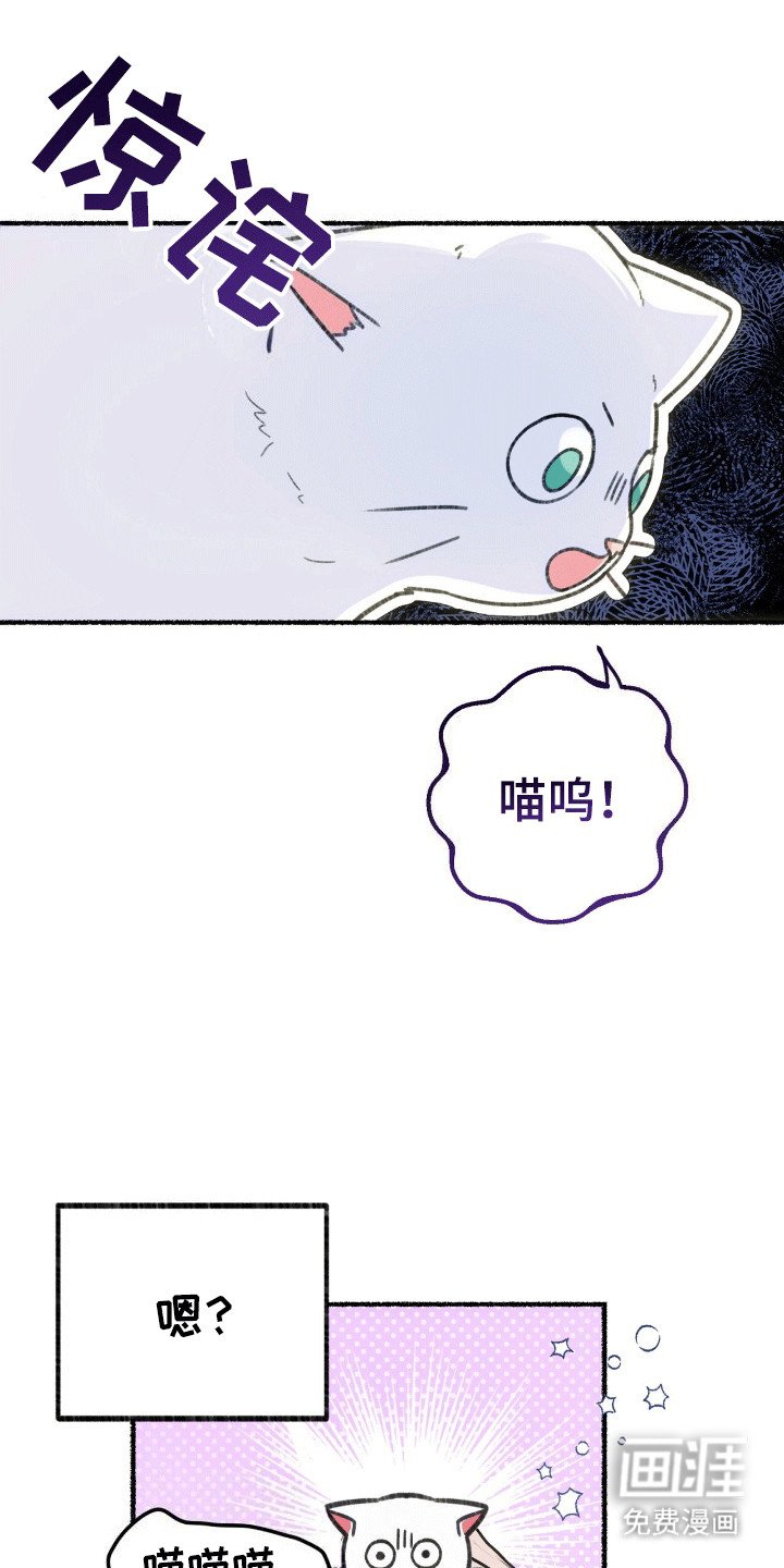第1章：变成猫