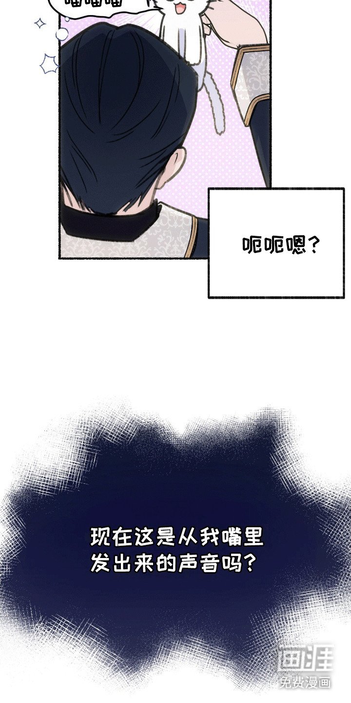 第1章：变成猫