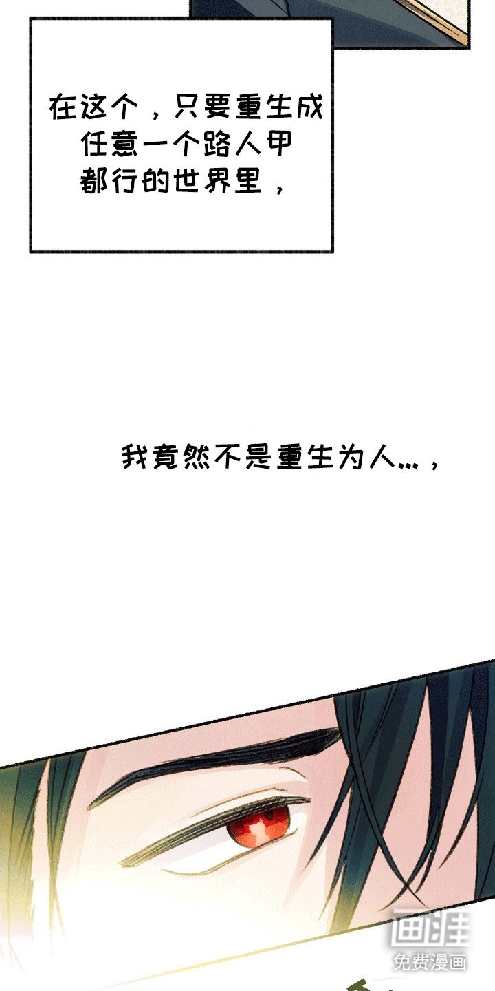 第1章：变成猫