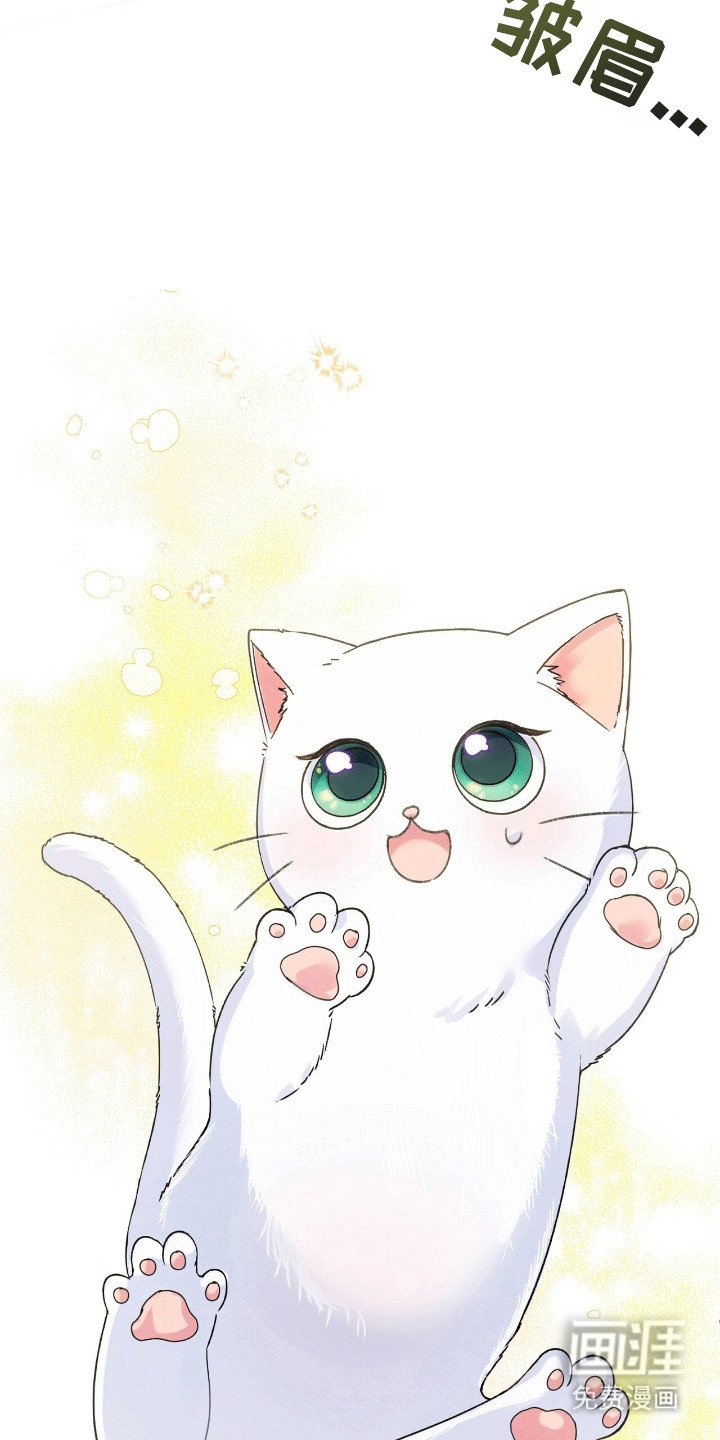 第1章：变成猫