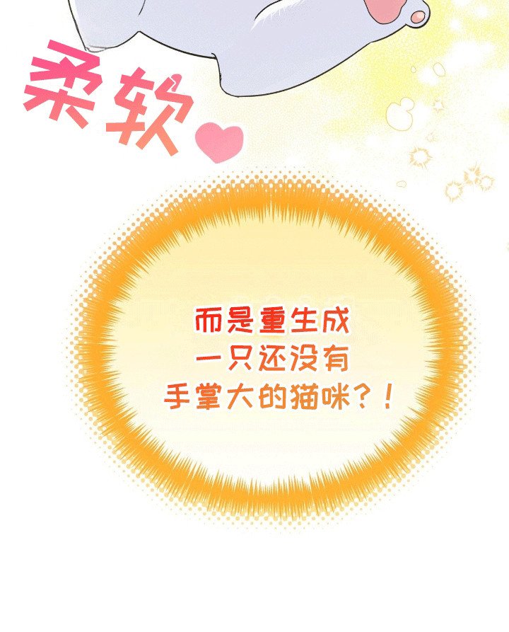 第1章：变成猫