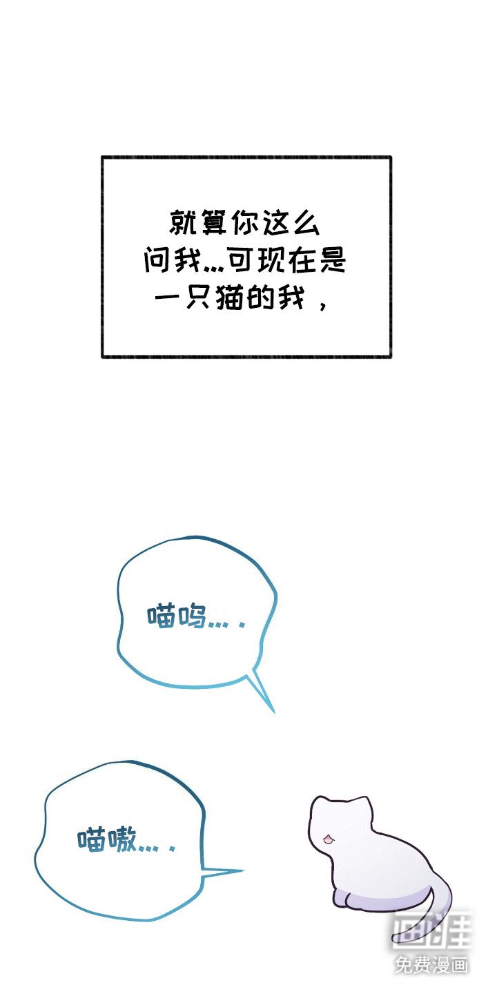 第10章：给王子一点小小的震撼