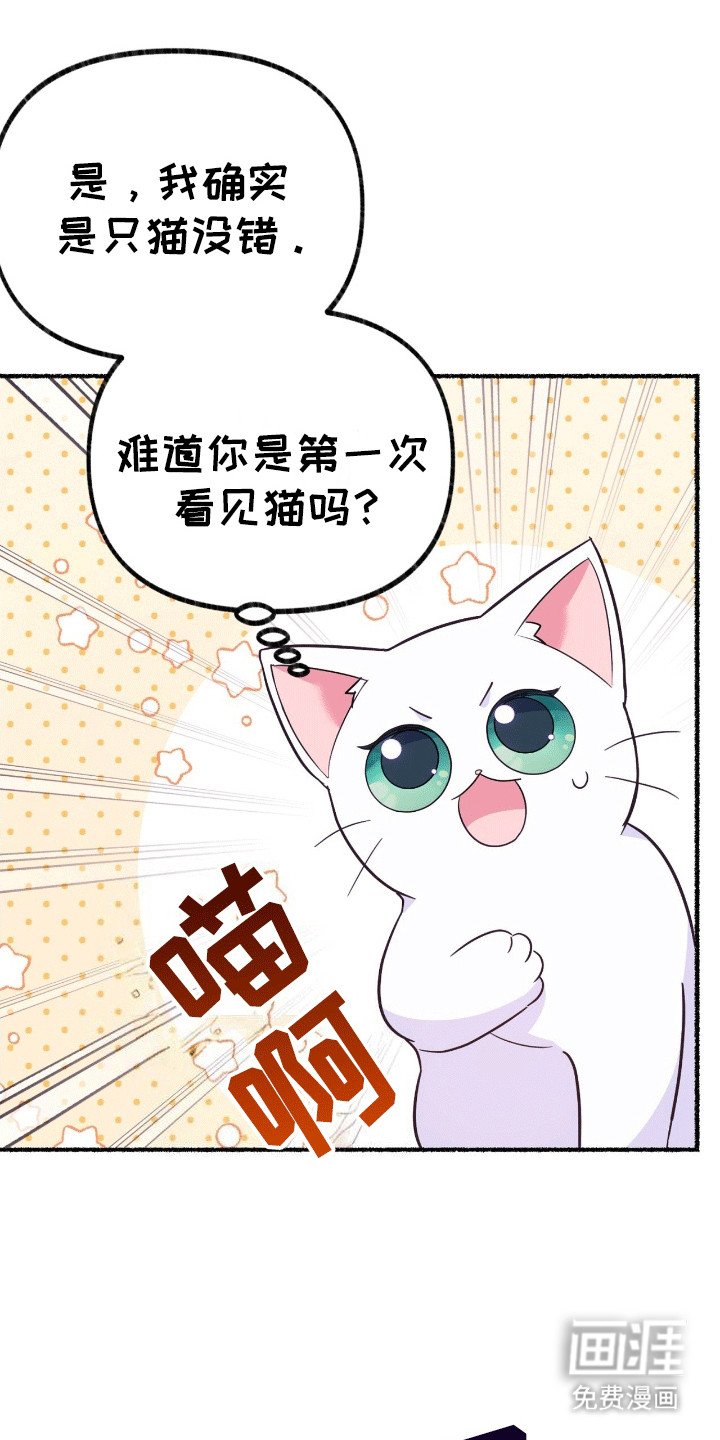 第10章：给王子一点小小的震撼