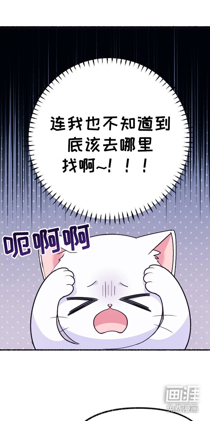 第10章：给王子一点小小的震撼