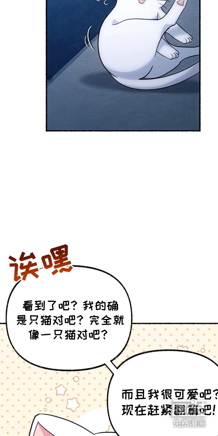 第10章：给王子一点小小的震撼