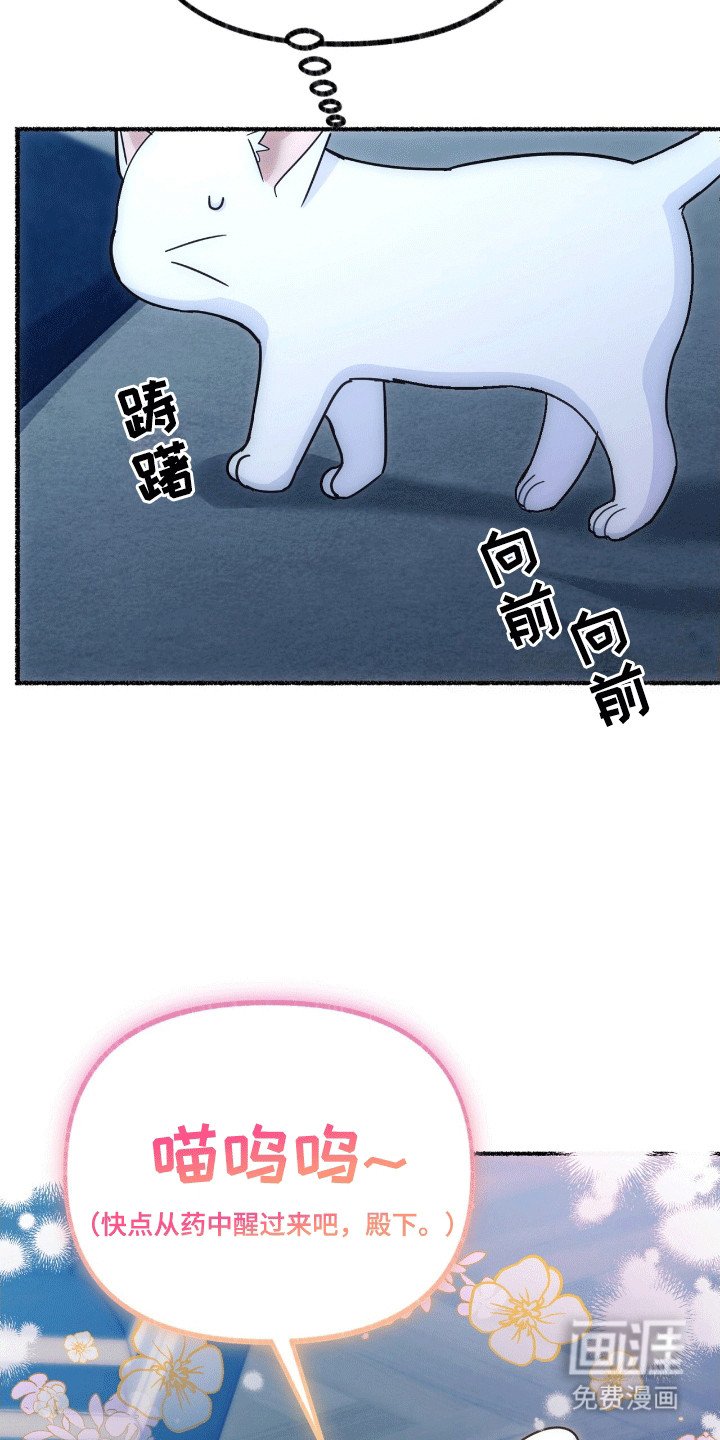 第10章：给王子一点小小的震撼