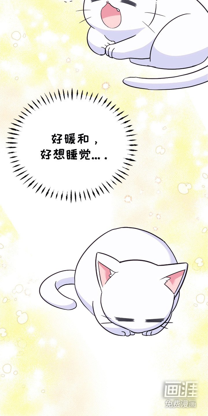 第10章：给王子一点小小的震撼