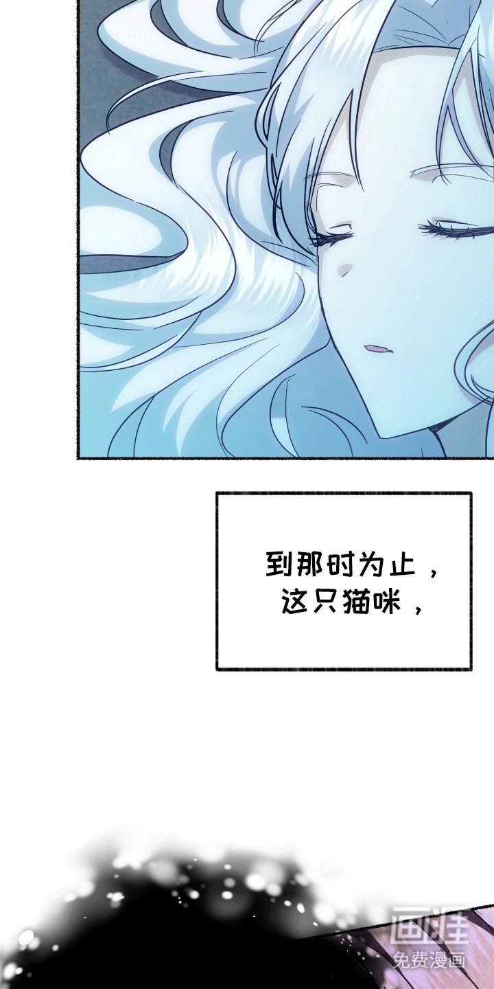 第11章：占有欲
