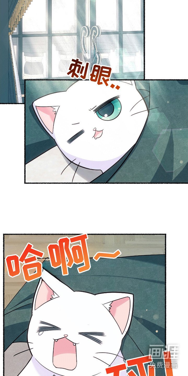 第11章：占有欲