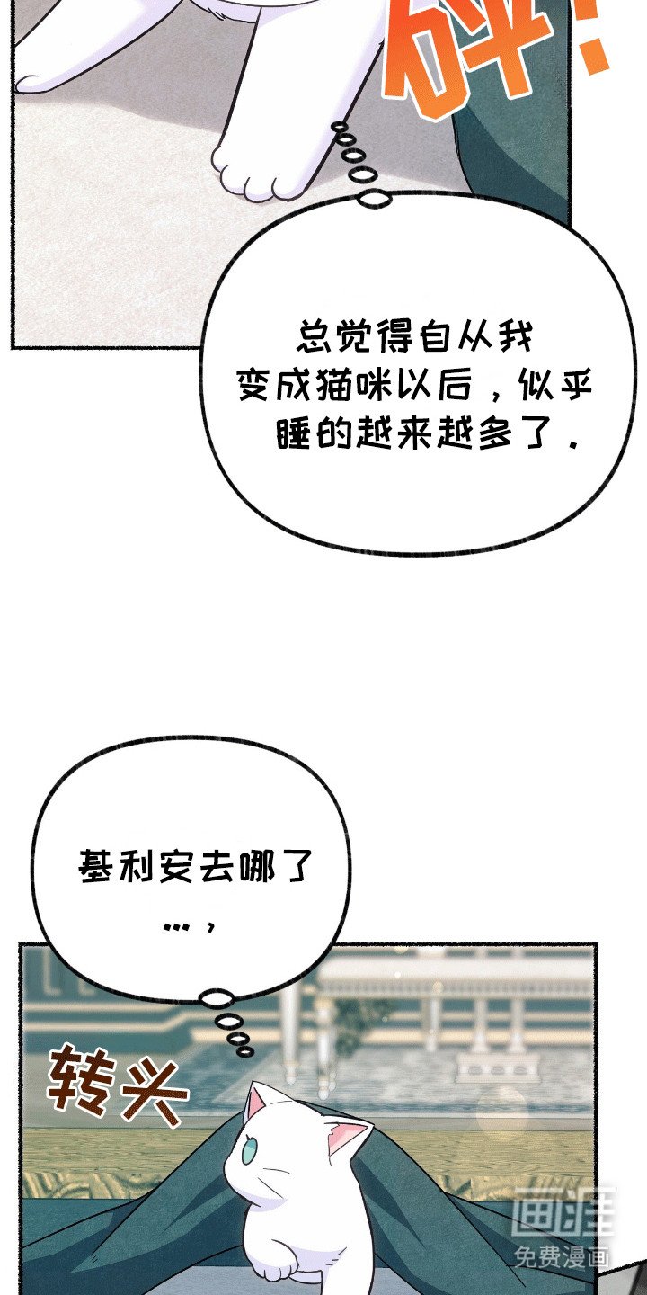 第11章：占有欲