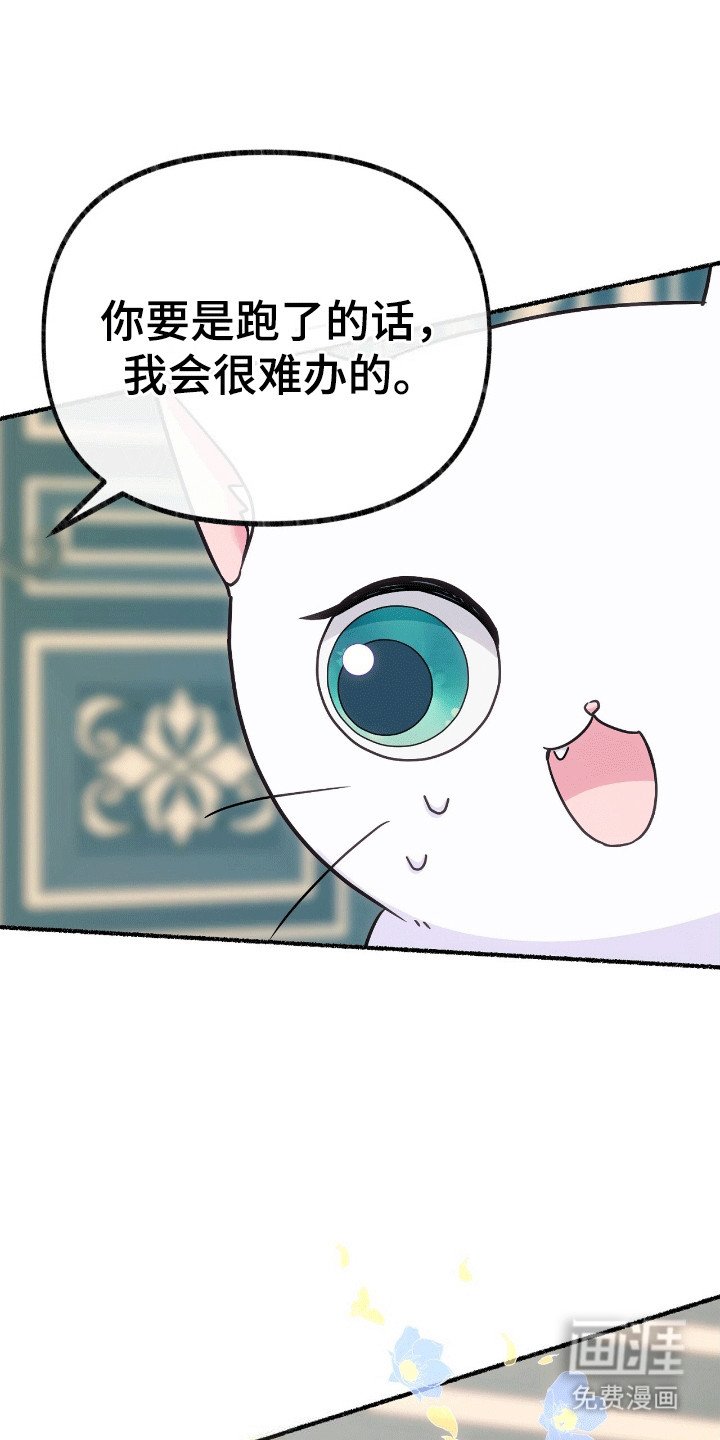 第11章：占有欲