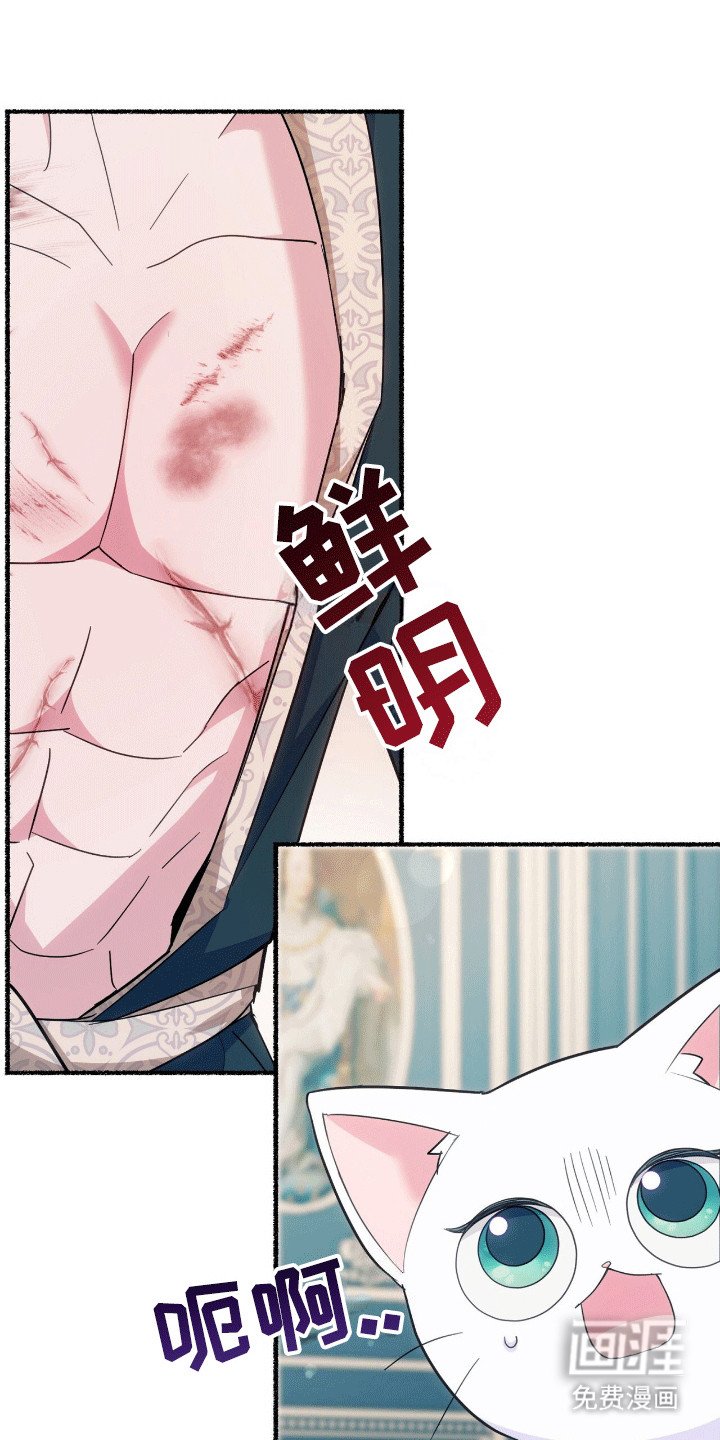 第12章：来到服装店