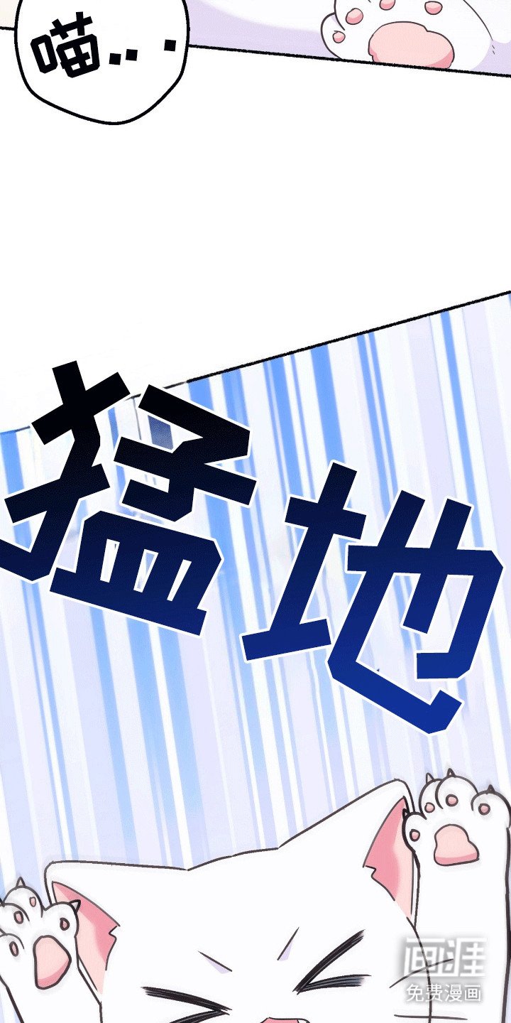 第12章：来到服装店