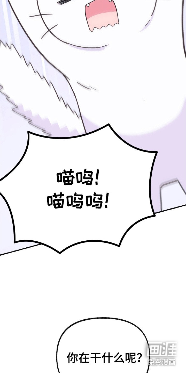 第12章：来到服装店