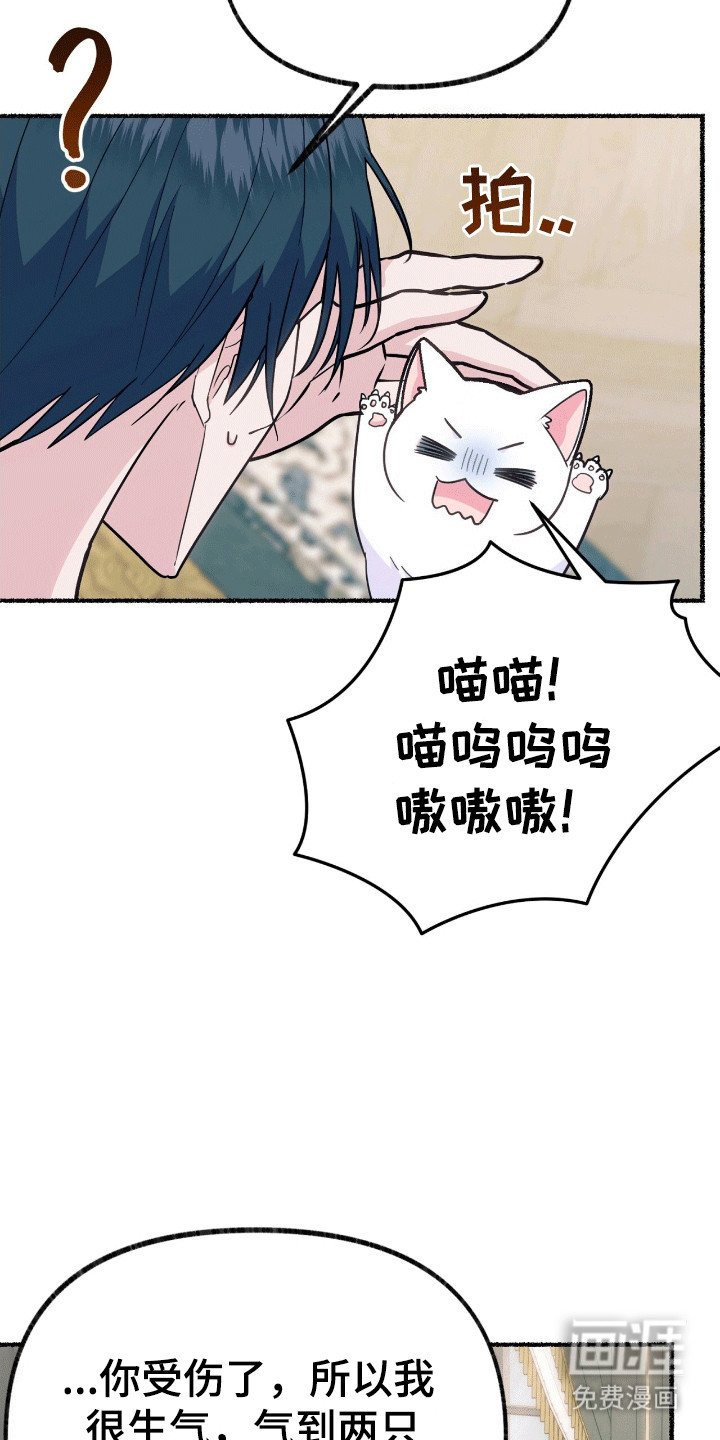 第12章：来到服装店