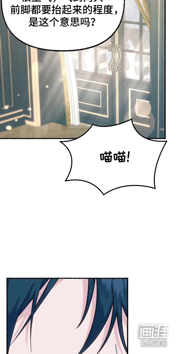 第12章：来到服装店