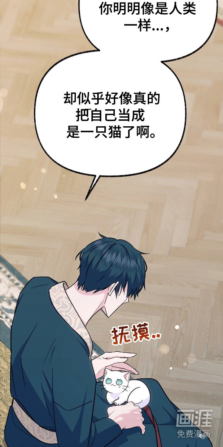 第12章：来到服装店