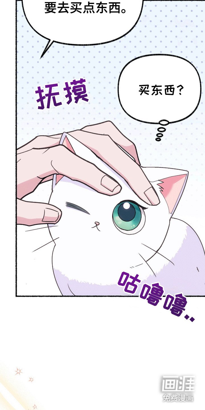 第12章：来到服装店