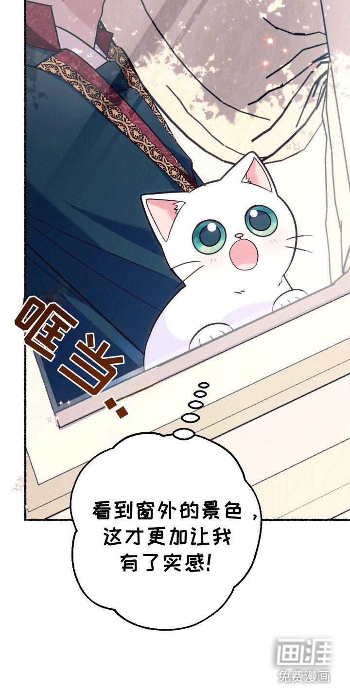 第12章：来到服装店