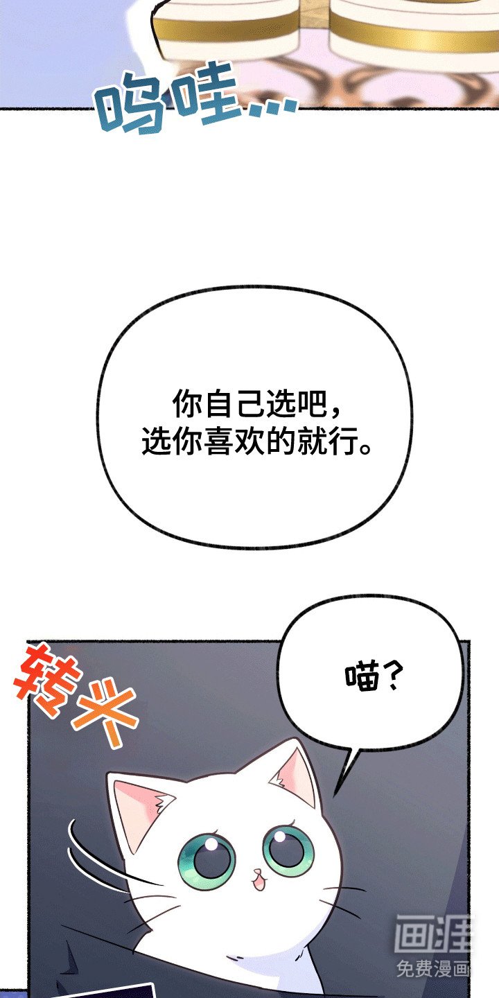 第13章：礼物