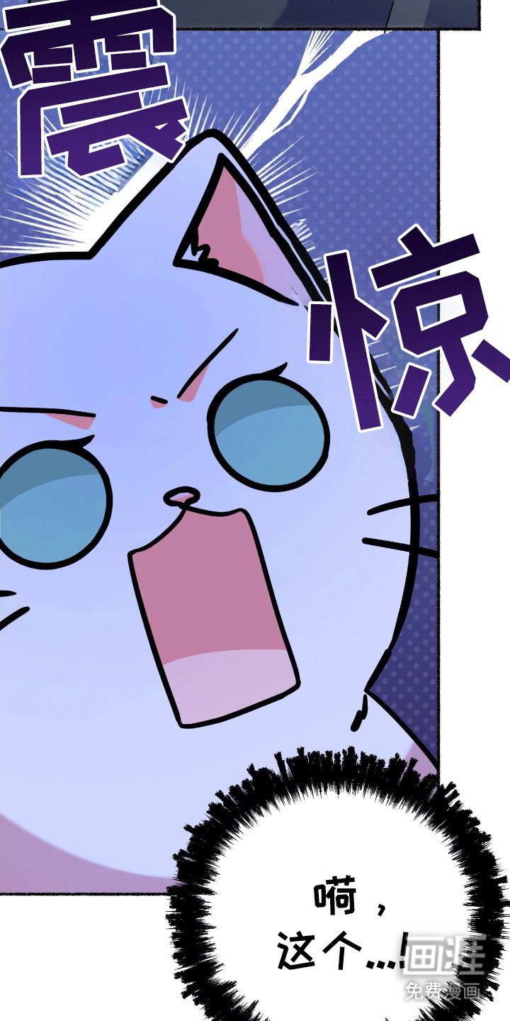 第13章：礼物