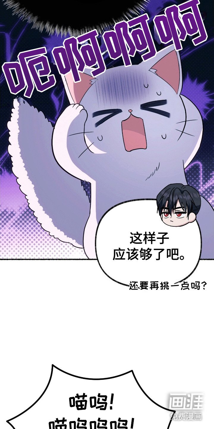 第13章：礼物