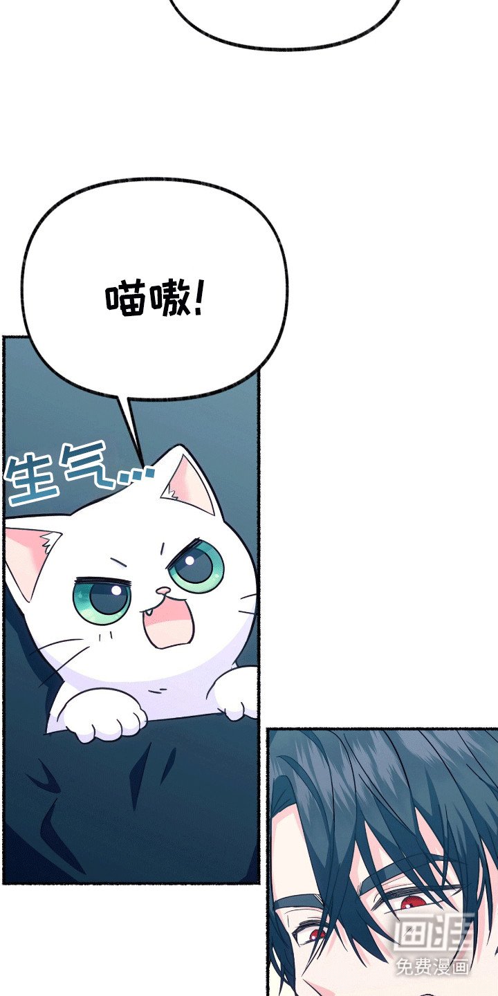 第13章：礼物