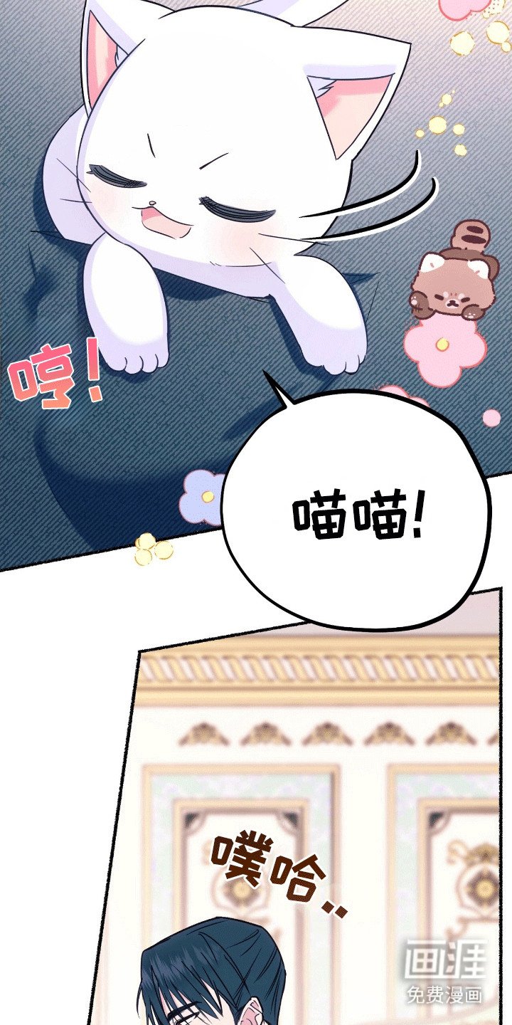 第13章：礼物