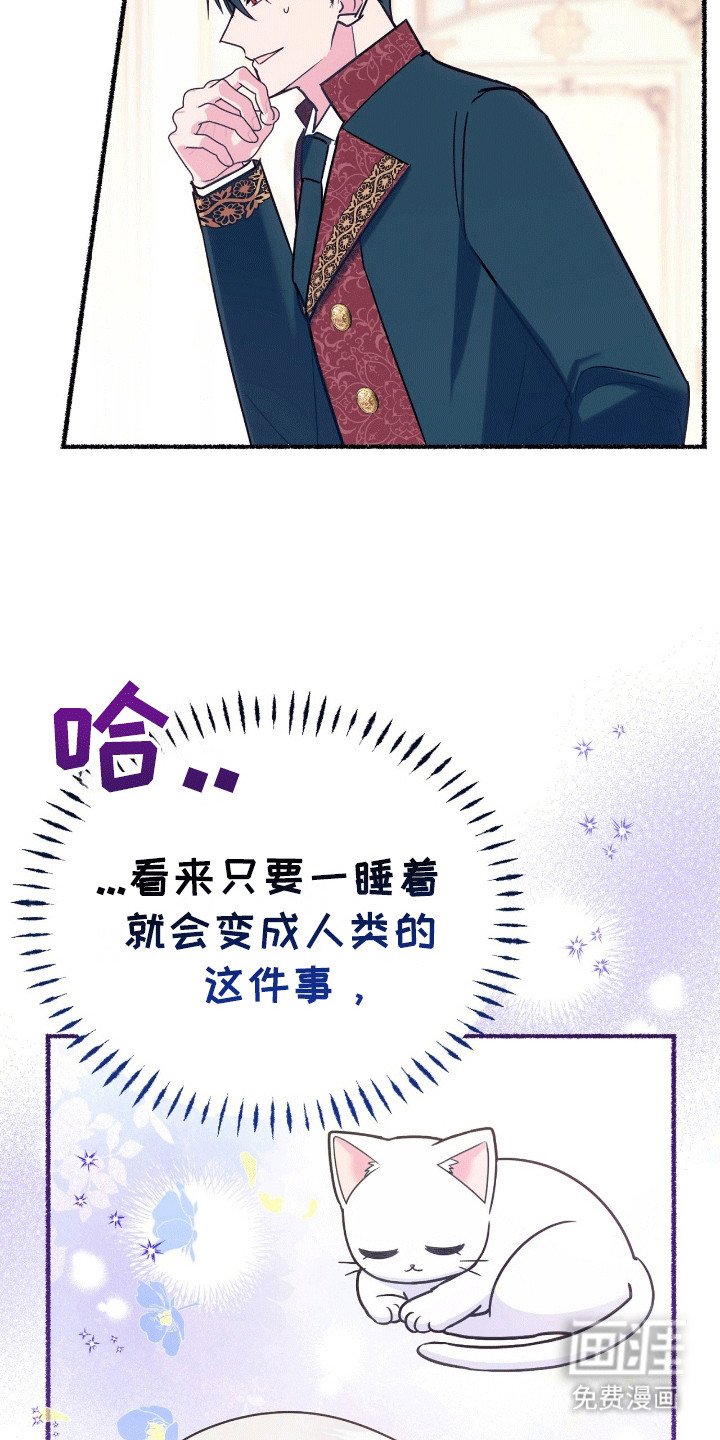 第13章：礼物