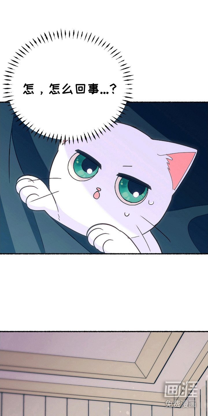 第13章：礼物