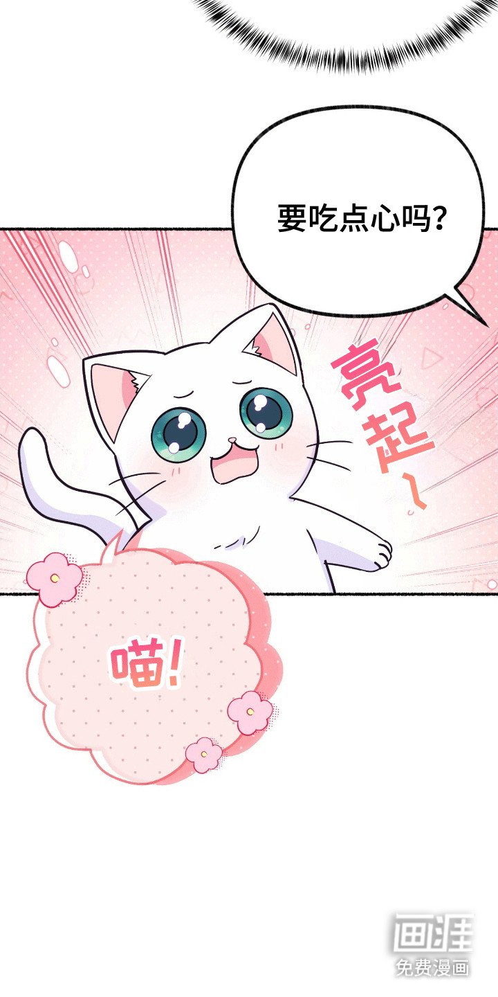 第13章：礼物