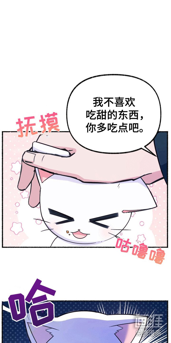 第13章：礼物