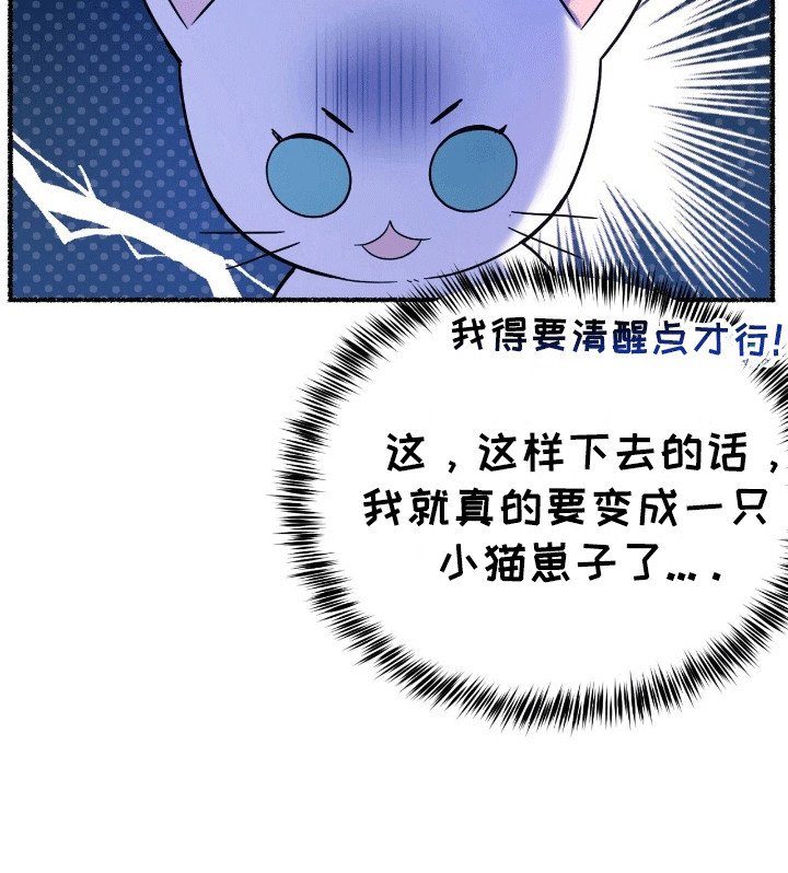 第13章：礼物