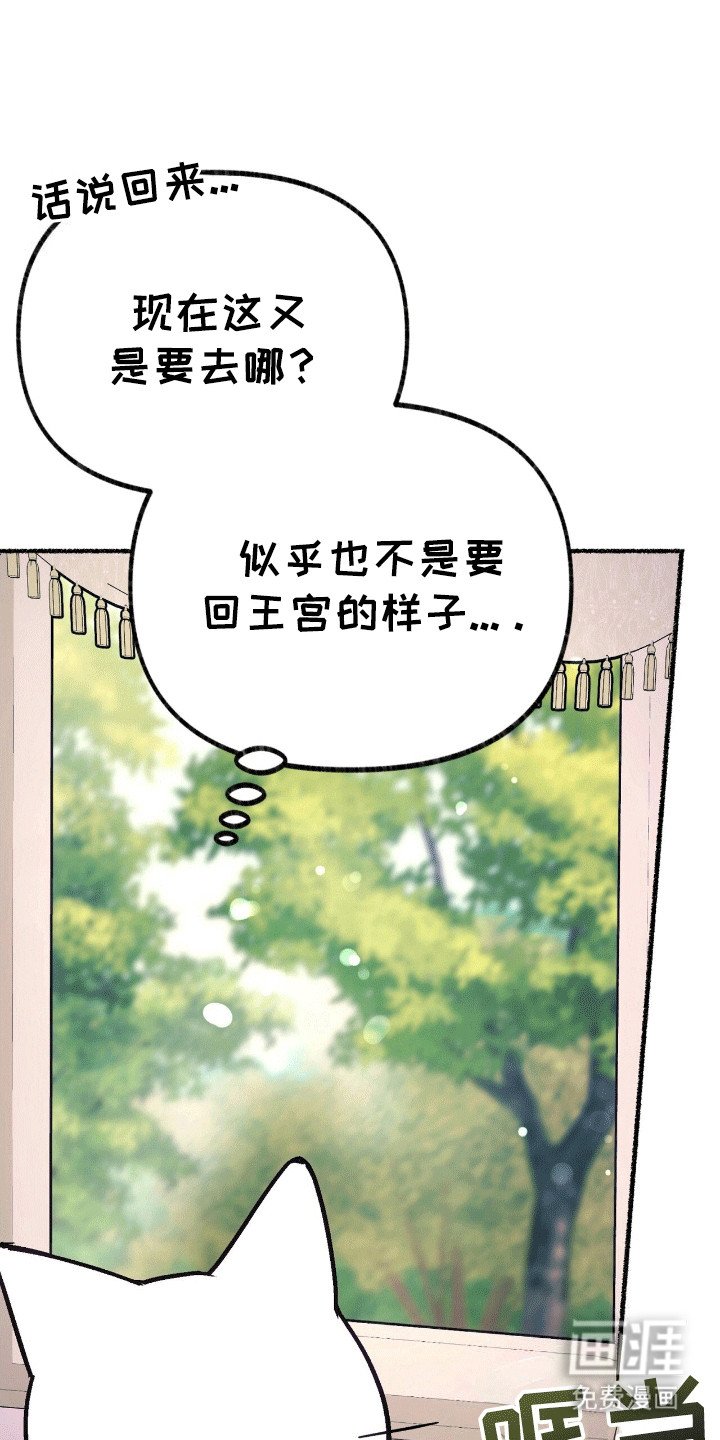 第14章：魔法师