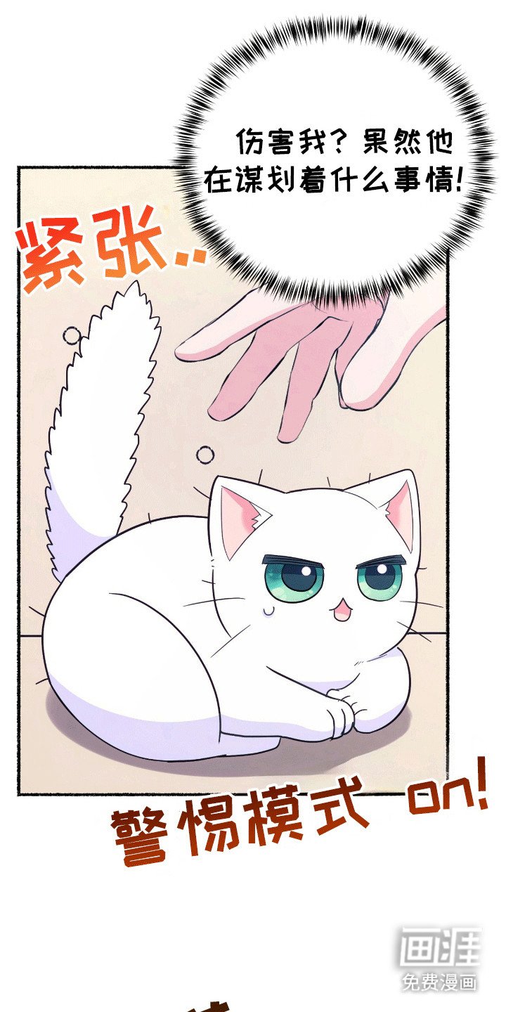 第14章：魔法师