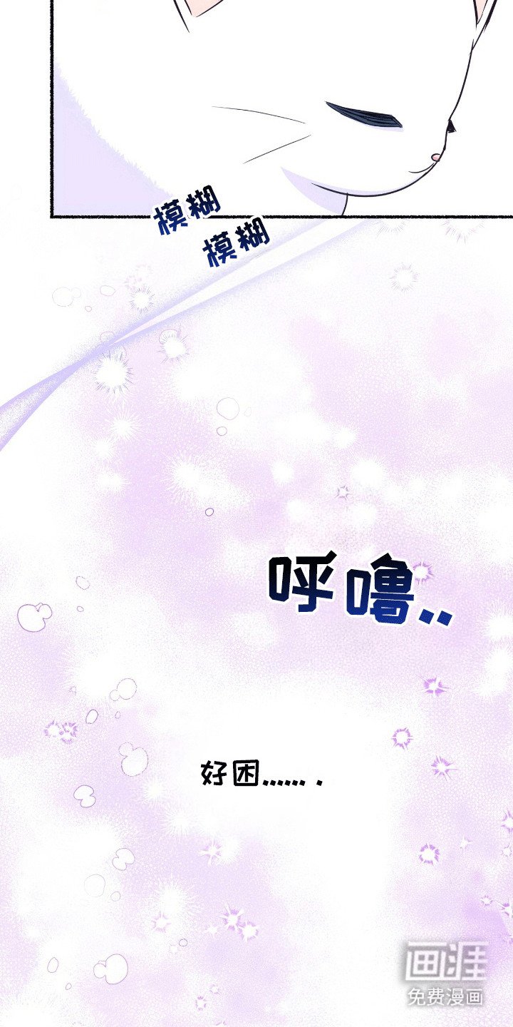 第14章：魔法师