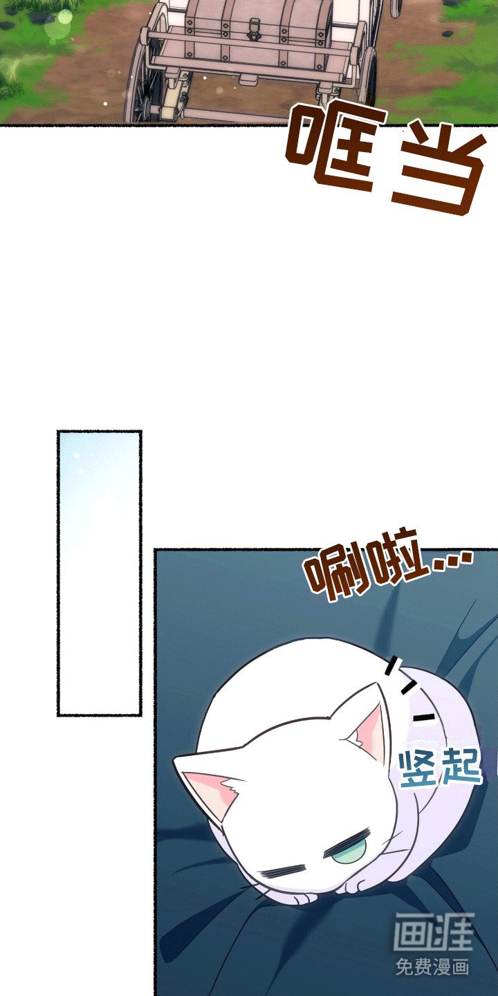 第14章：魔法师