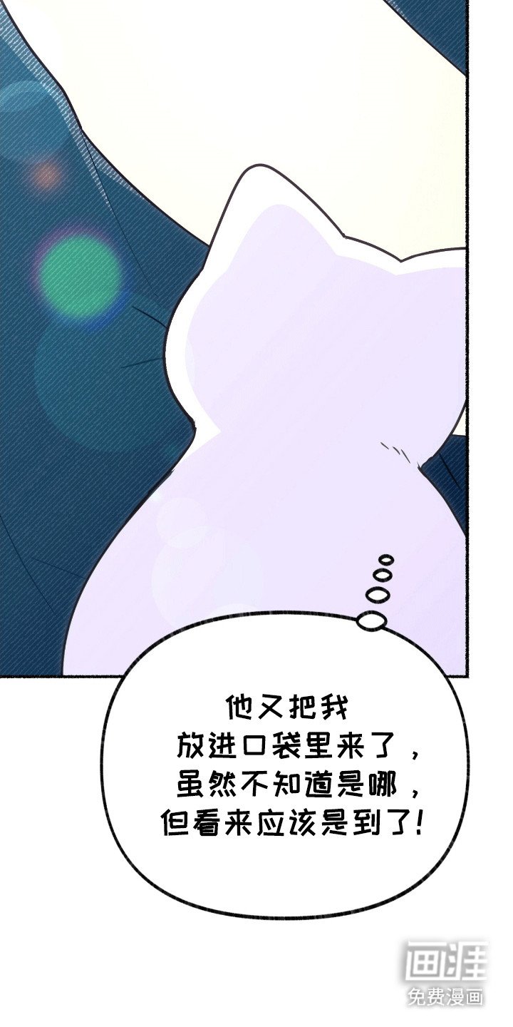 第14章：魔法师