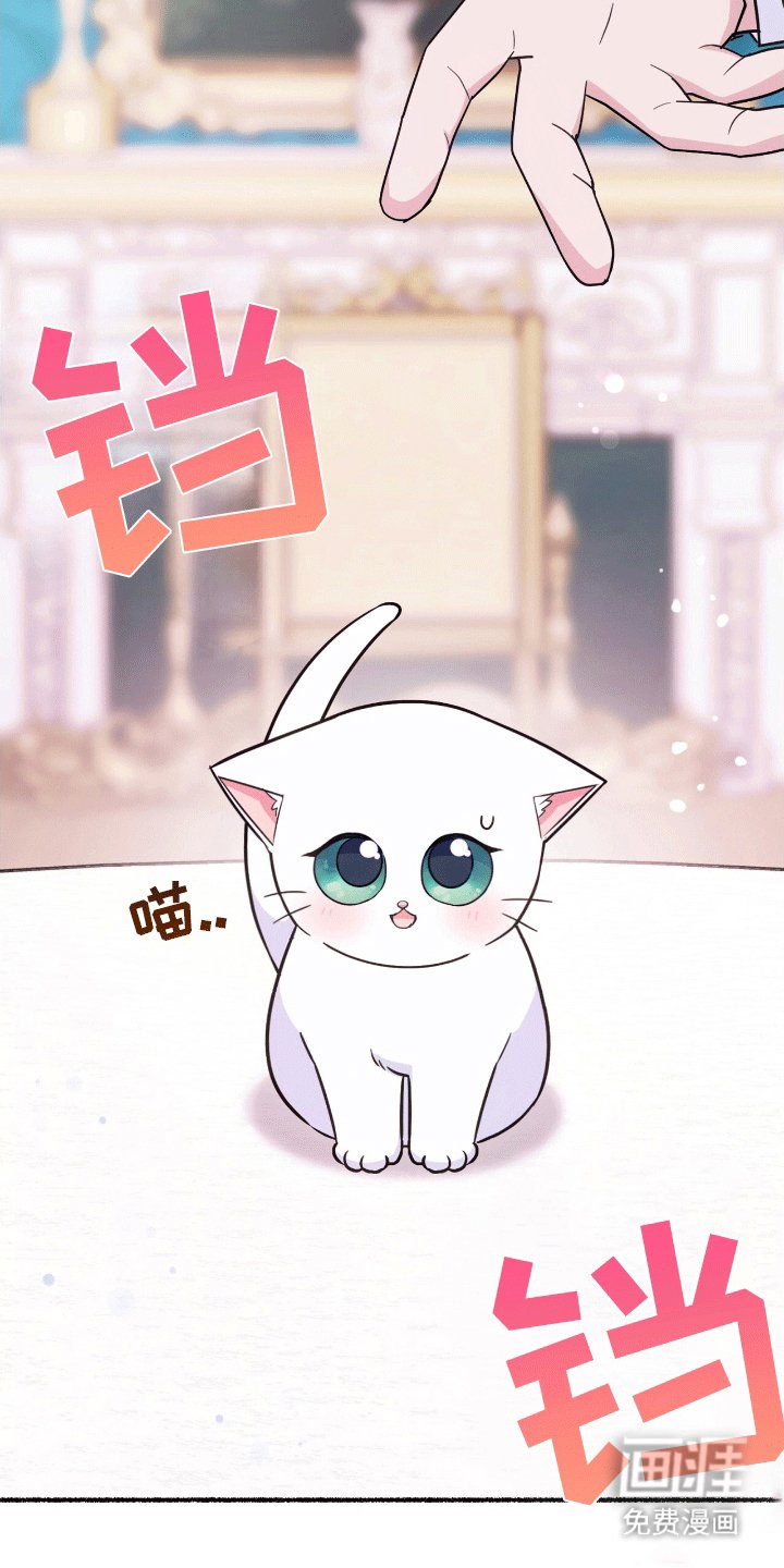 第15章：找出诅咒