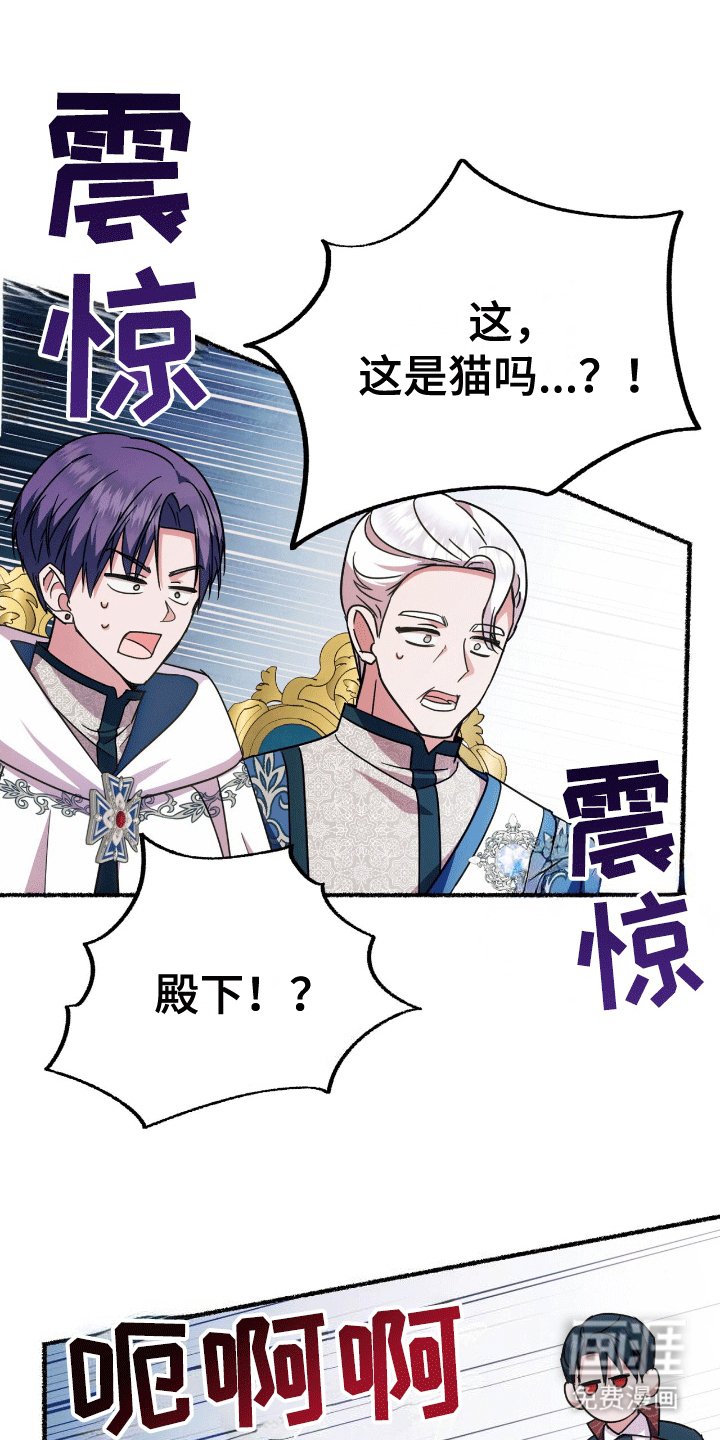 第15章：找出诅咒