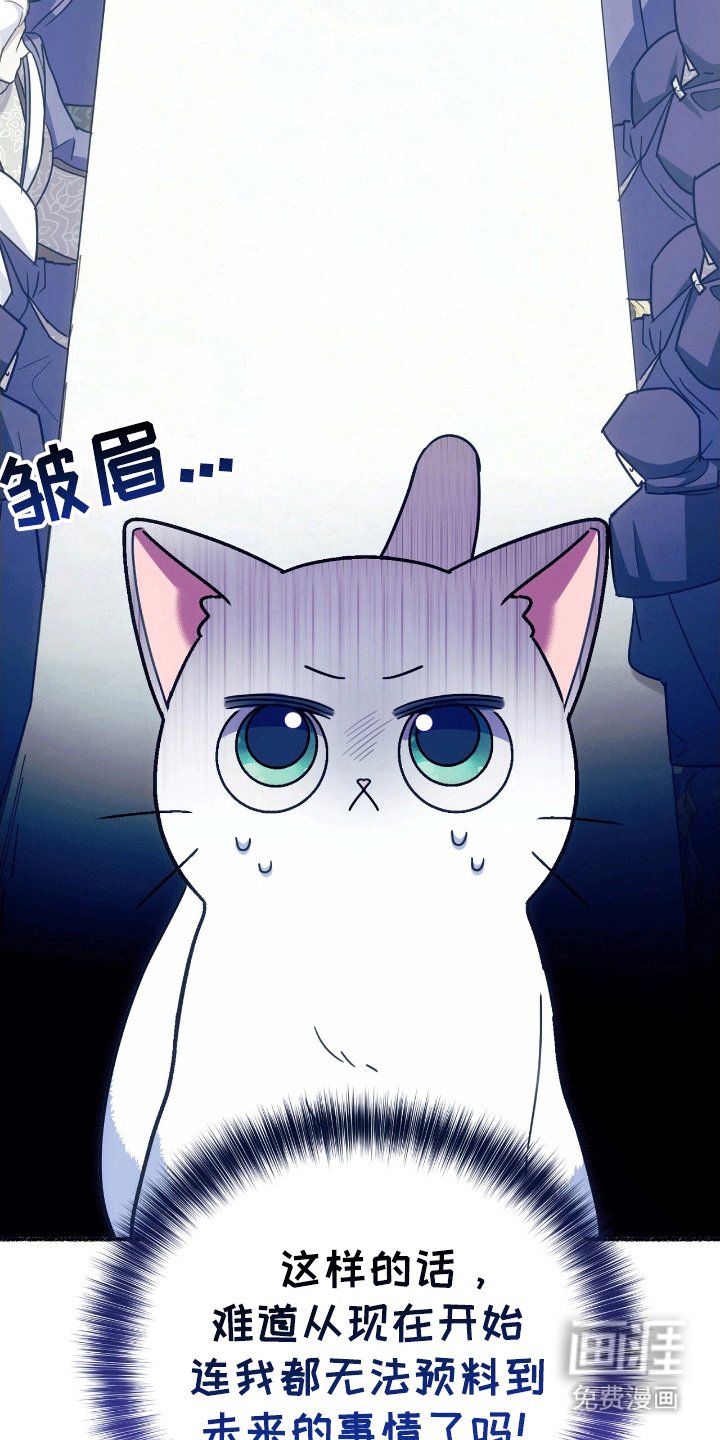 第15章：找出诅咒
