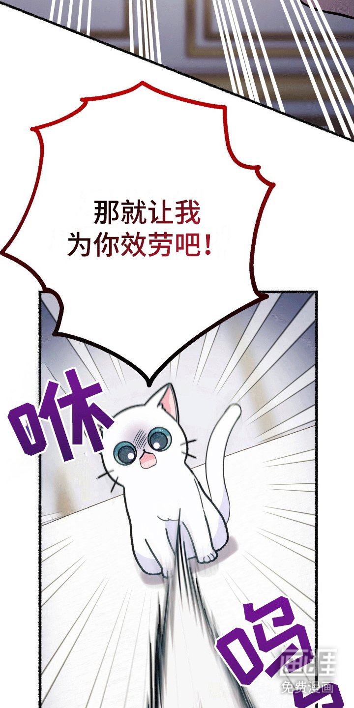 第15章：找出诅咒