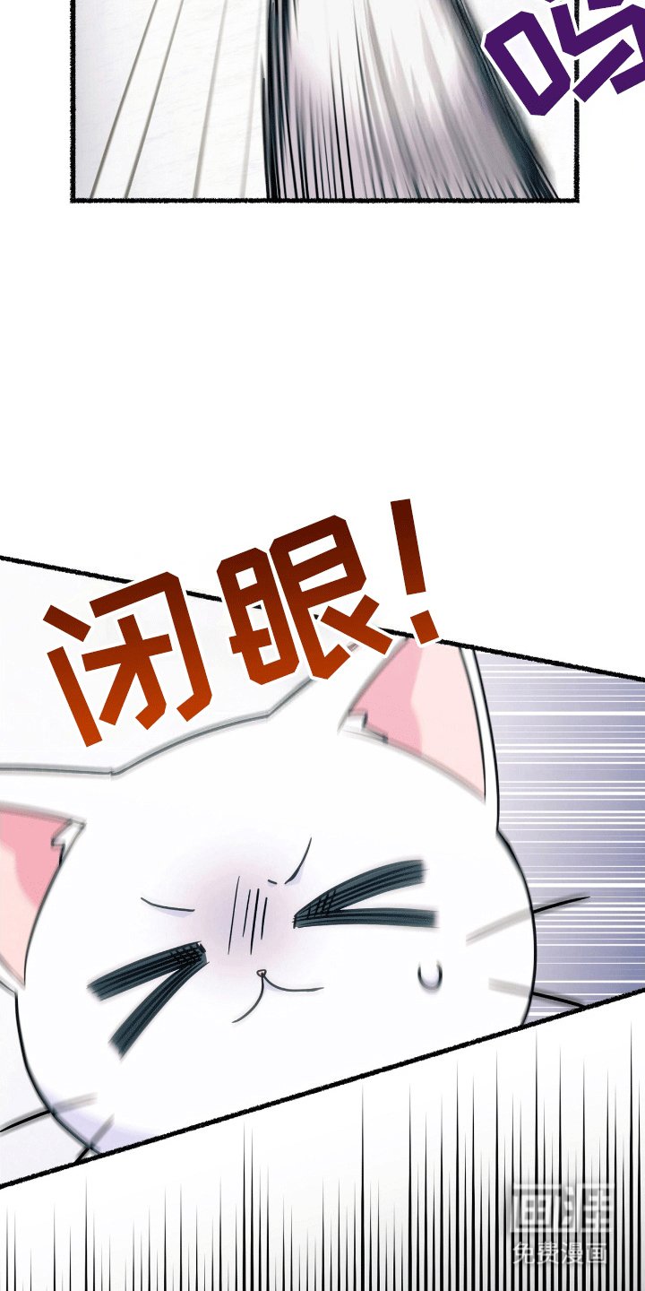 第15章：找出诅咒