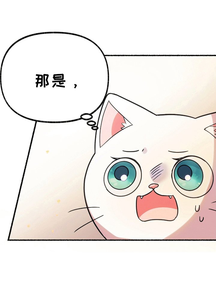 第16章：神的庇护