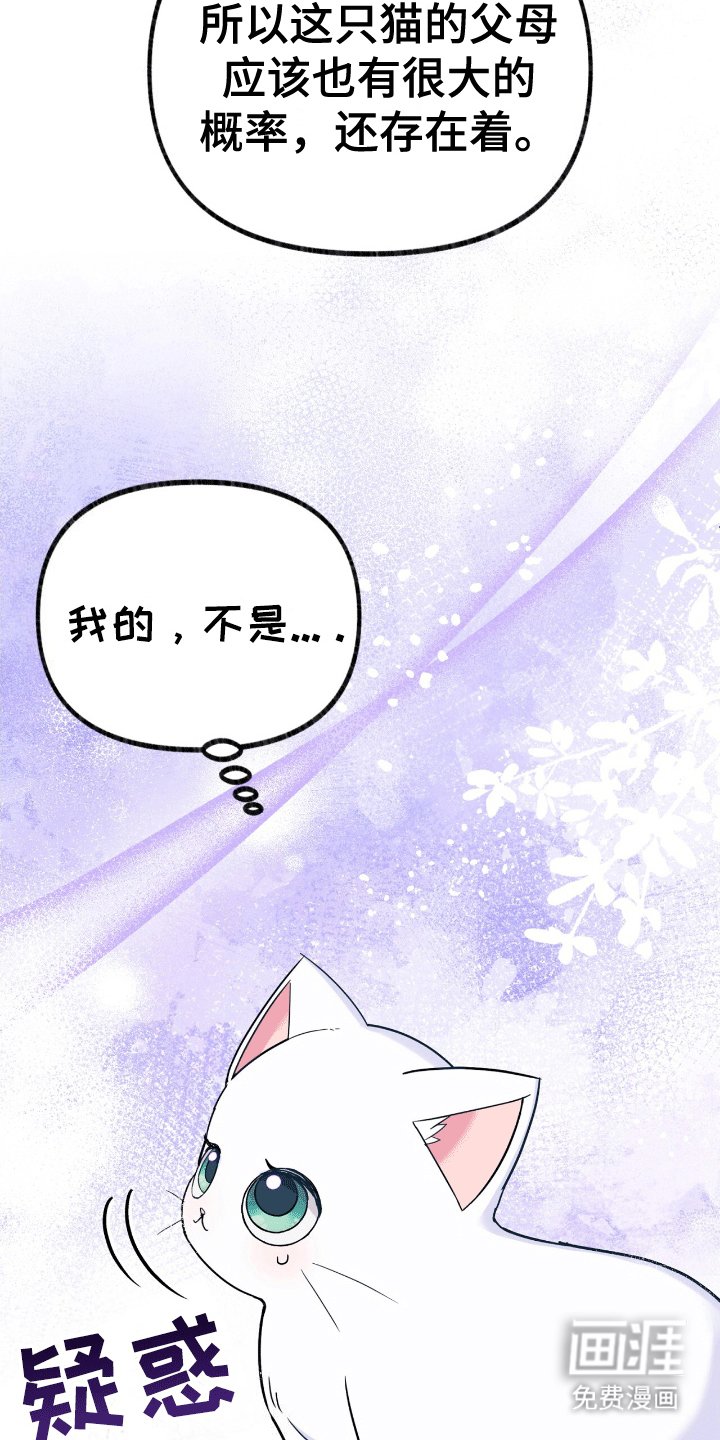 第17章：只有他