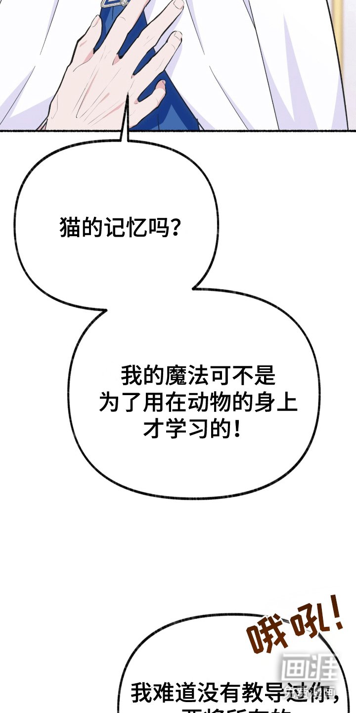 第17章：只有他