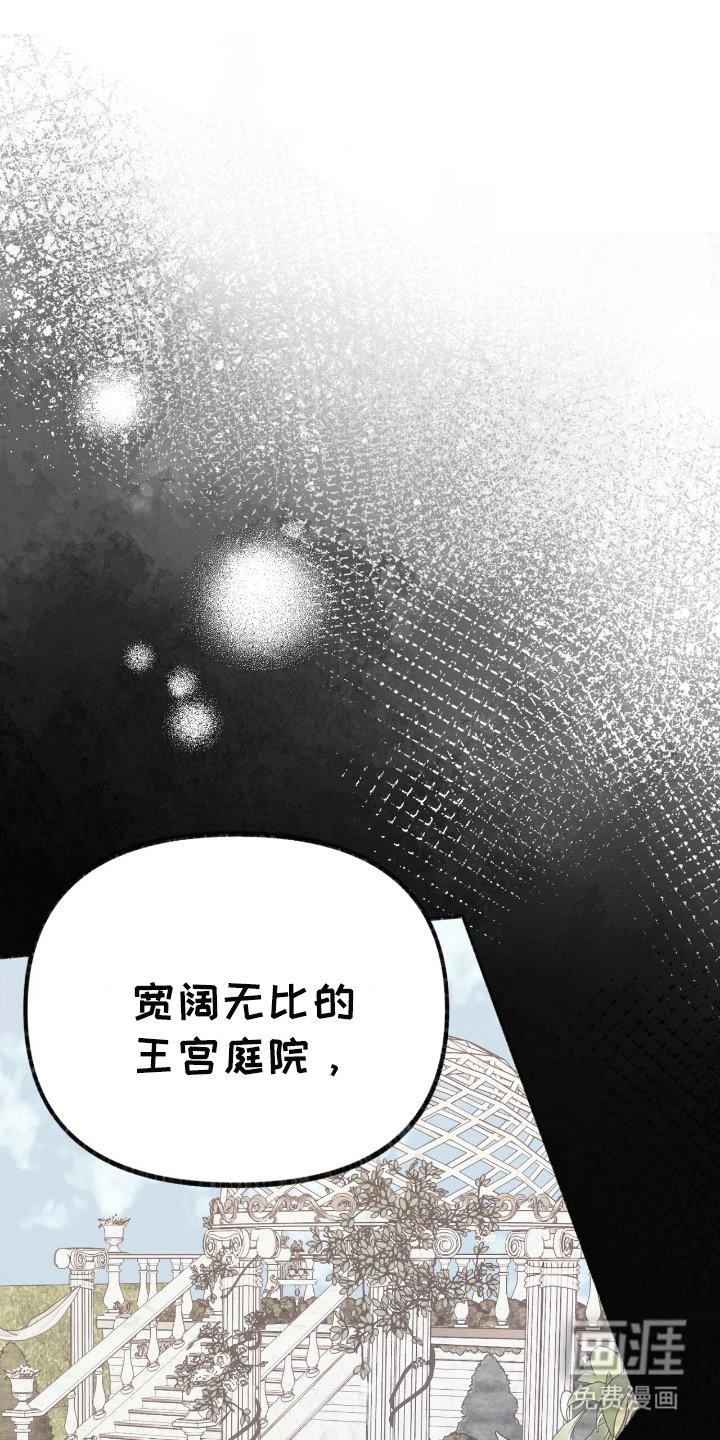 第17章：只有他