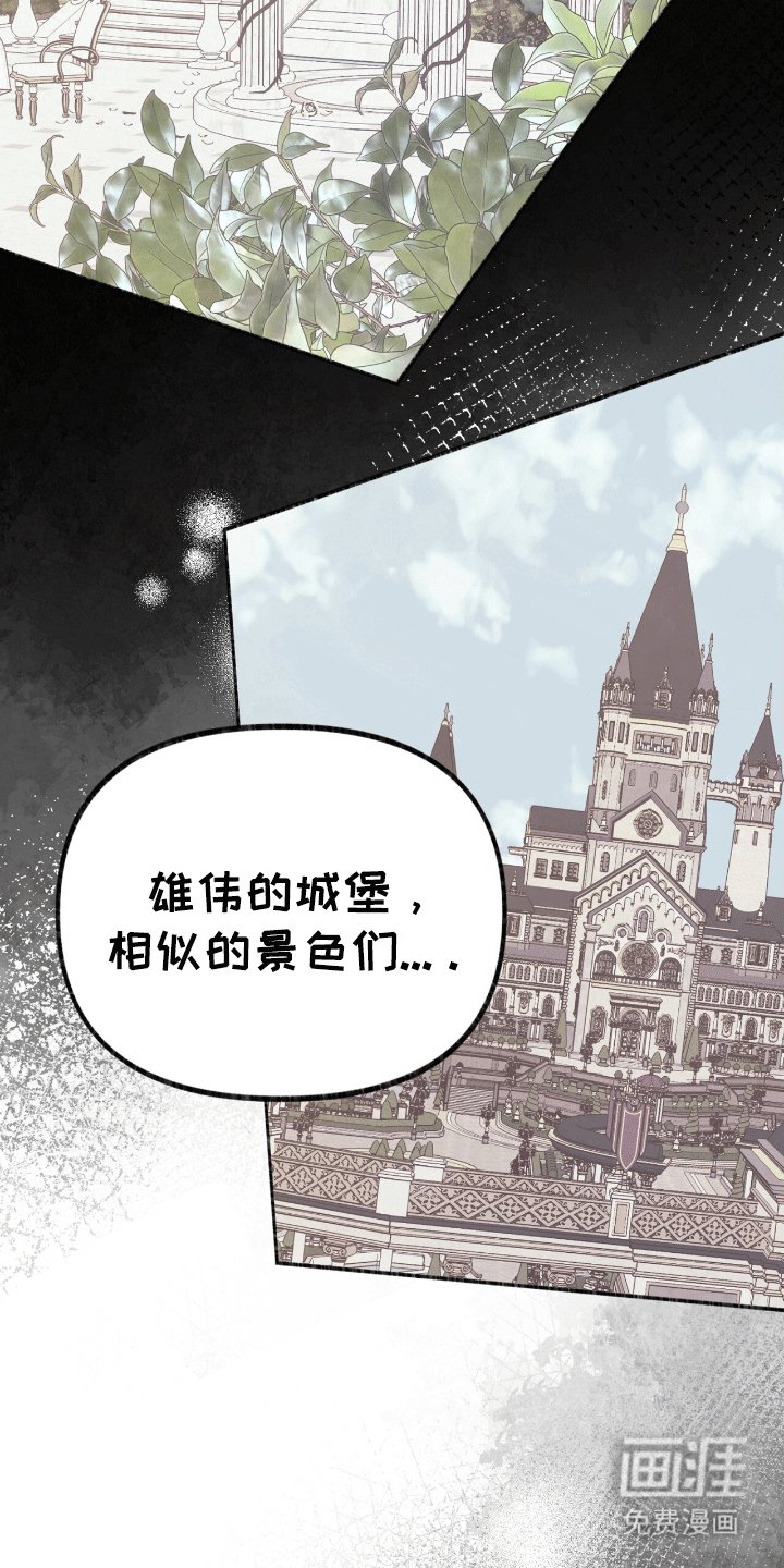第17章：只有他