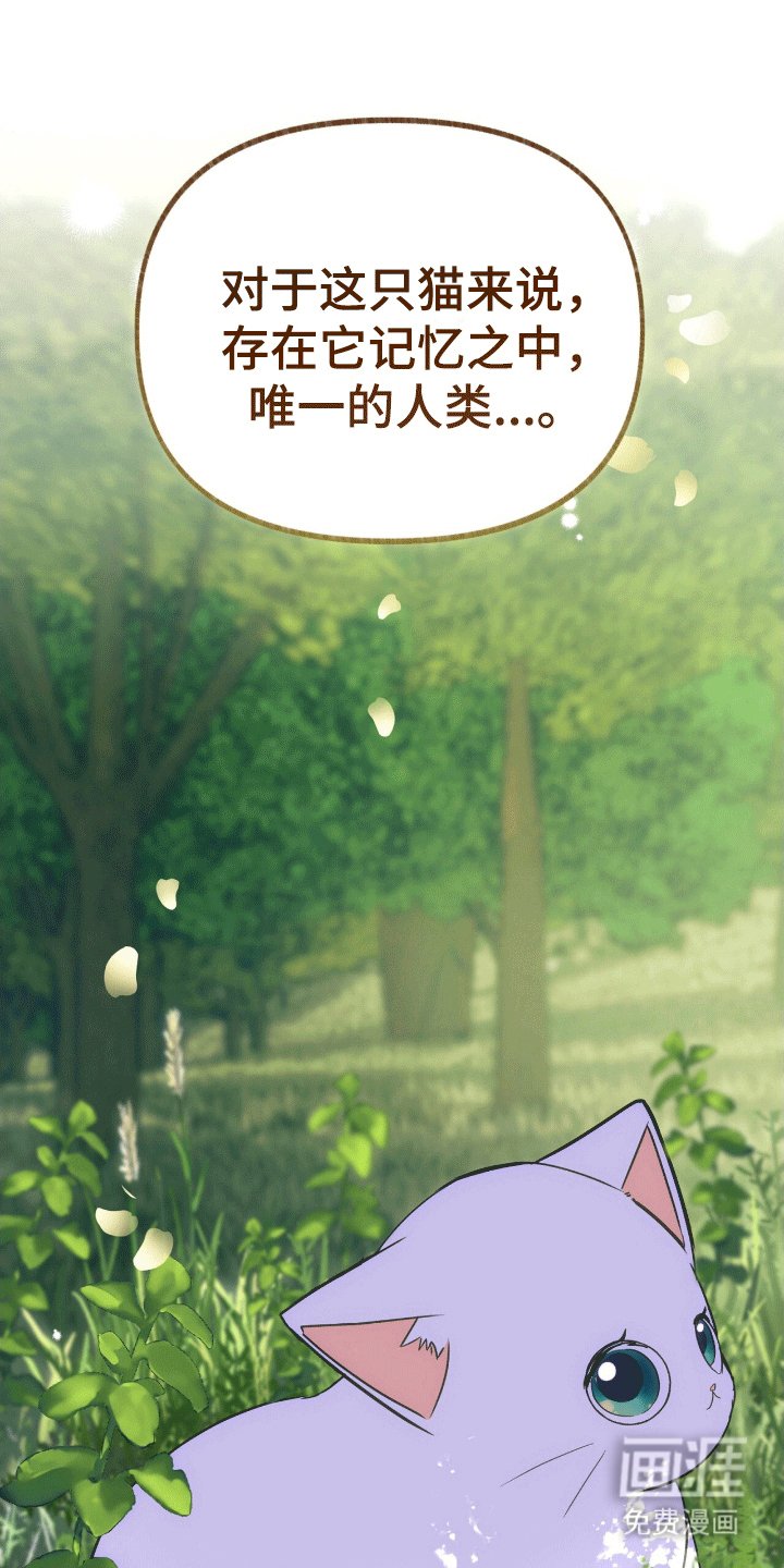 第17章：只有他