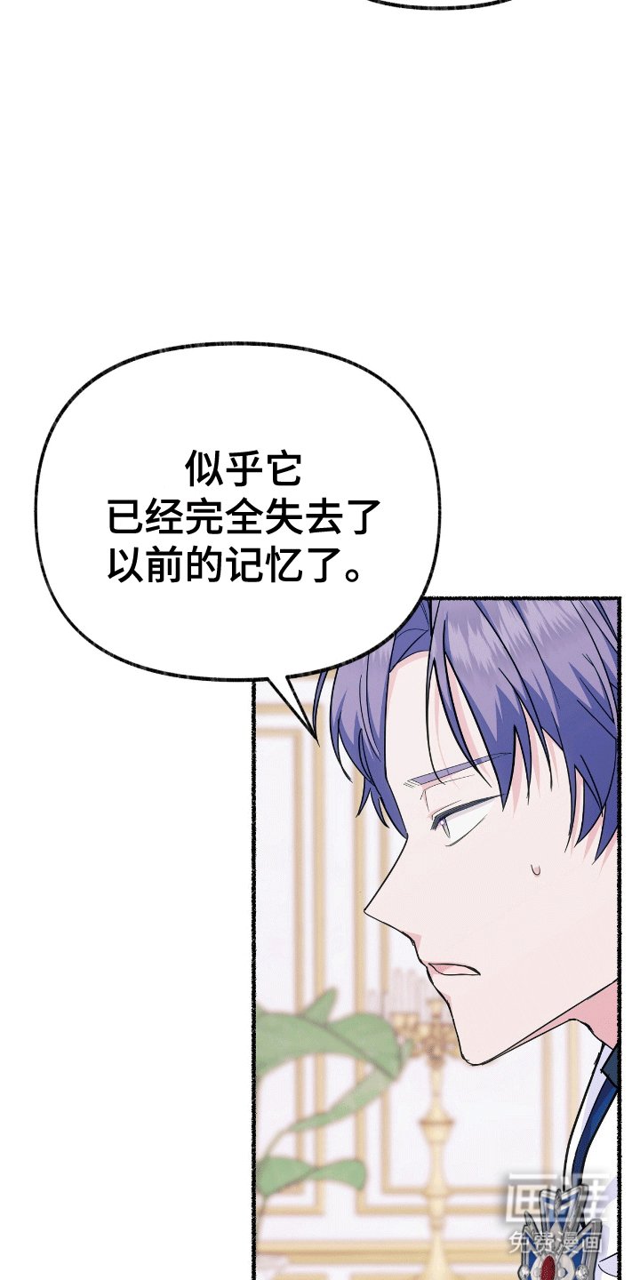 第17章：只有他